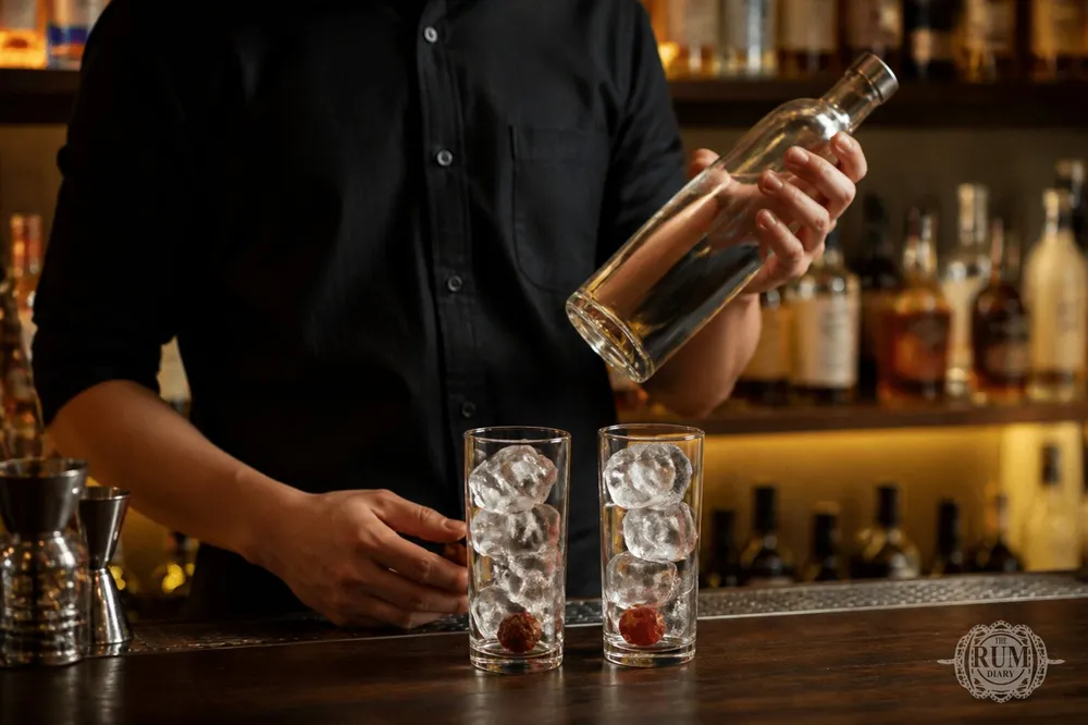 Sloe Gin - терновый джин можно выделить в отдельный стиль как ароматизированный джиню